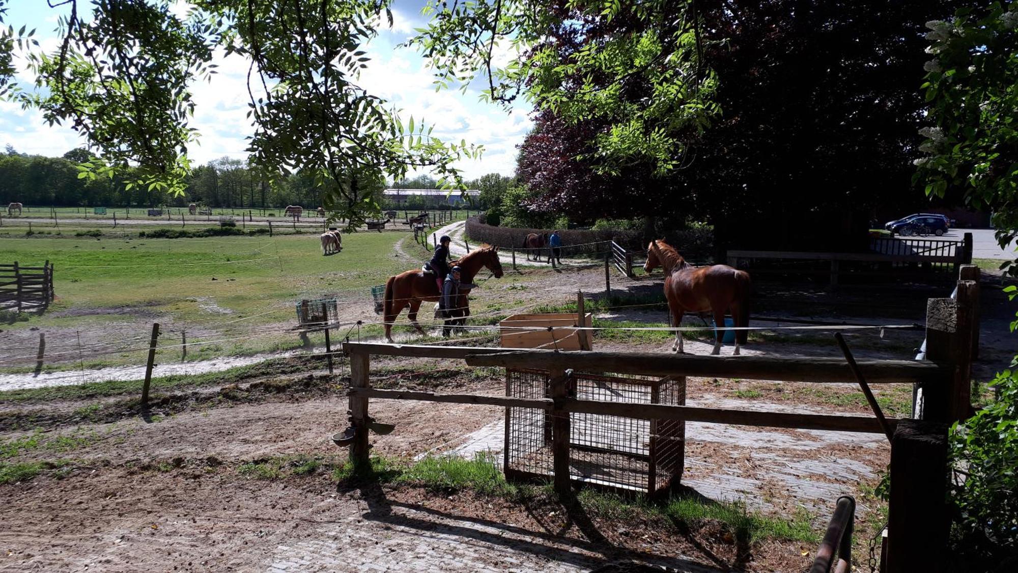 Reiterhof Jaegersburg Ferienwohnung Varel Luaran gambar