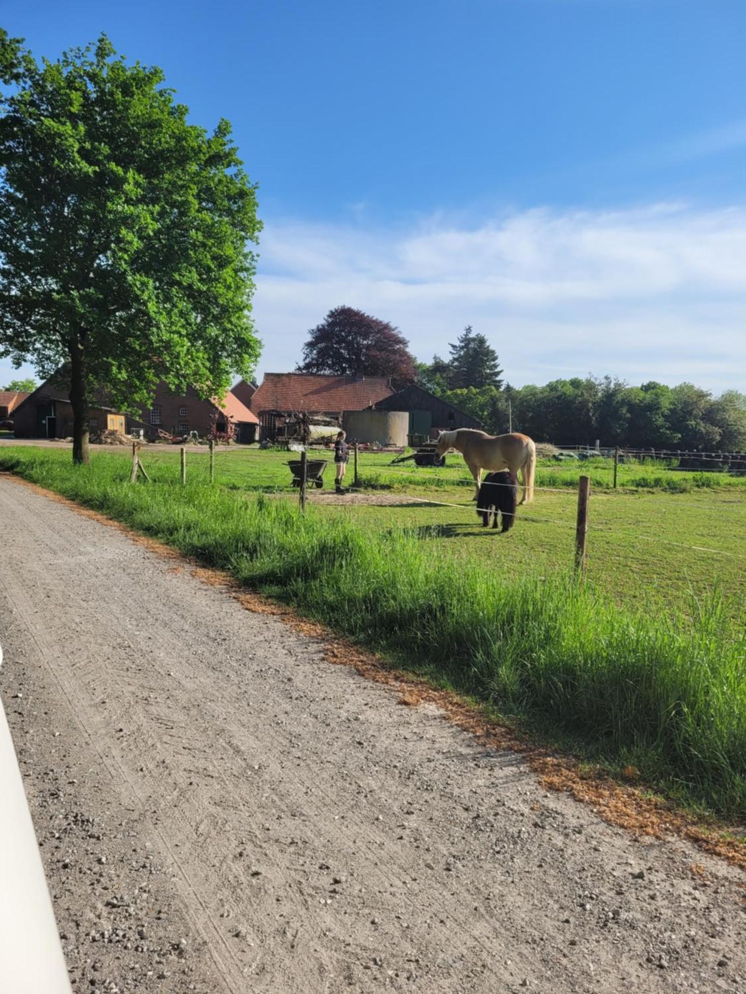 Reiterhof Jaegersburg Ferienwohnung Varel Luaran gambar